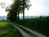 ambiance 10